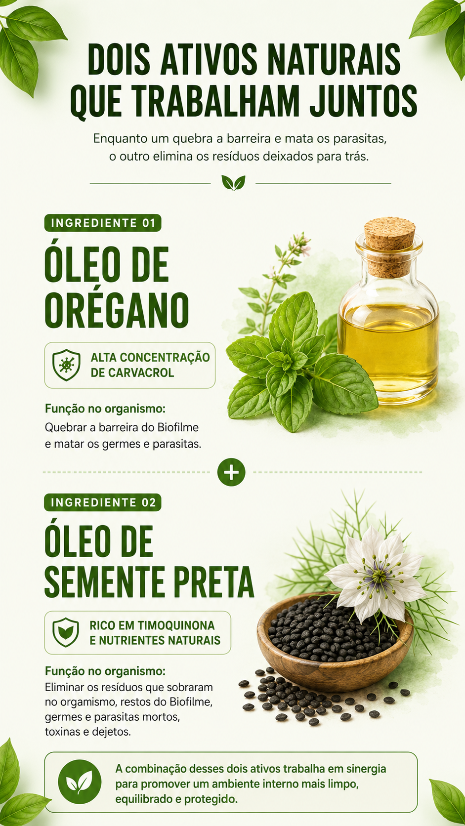 Dupla ação Carvacrol + Óleo de Semente Preta